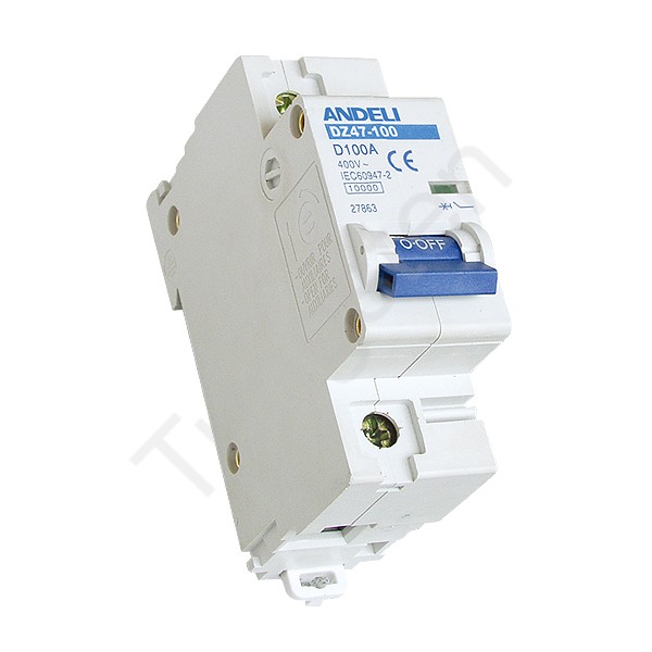 Double pole MCB 63 / 100 A